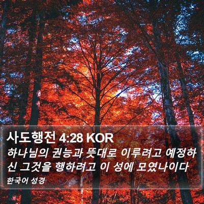 사도행전 4:28 KOR Bible Verse Image