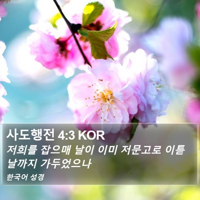 사도행전 4:3 KOR Bible Verse Image
