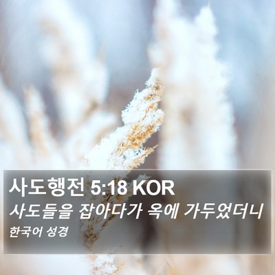 사도행전 5:18 KOR Bible Verse Image