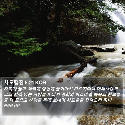 사도행전 5:21 KOR Bible Verse Image