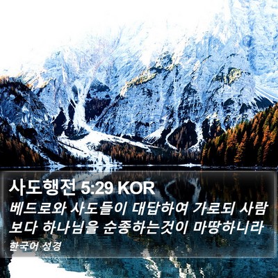 사도행전 5:29 KOR Bible Verse Image
