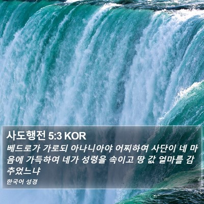 사도행전 5:3 KOR Bible Verse Image