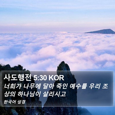사도행전 5:30 KOR Bible Verse Image