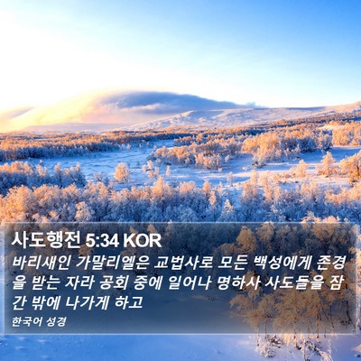 사도행전 5:34 KOR Bible Verse Image