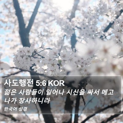 사도행전 5:6 KOR Bible Verse Image