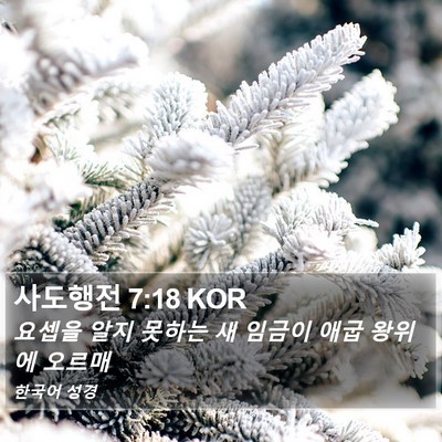 사도행전 7:18 KOR Bible Verse Image