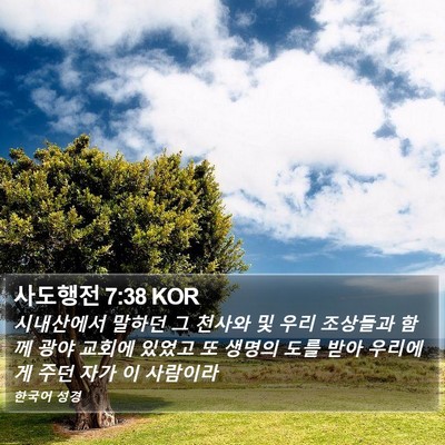 사도행전 7:38 KOR Bible Verse Image