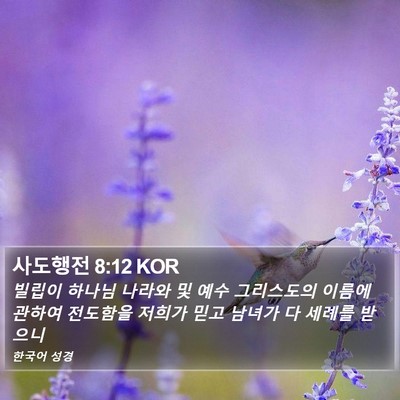 사도행전 8:12 KOR Bible Verse Image