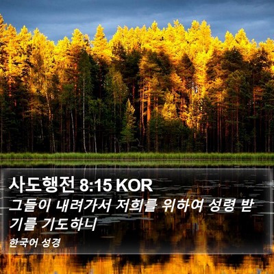 사도행전 8:15 KOR Bible Verse Image