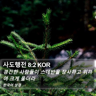 사도행전 8:2 KOR Bible Verse Image