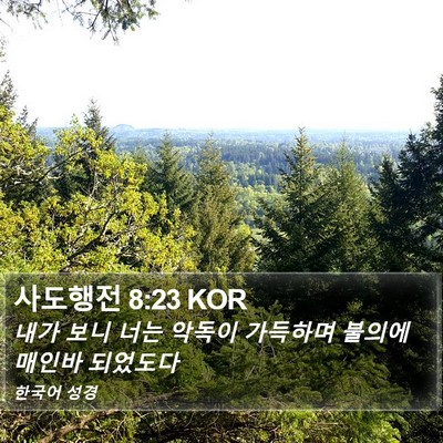 사도행전 8:23 KOR Bible Verse Image