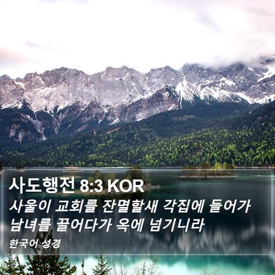 사도행전 8:3 KOR Bible Verse Image