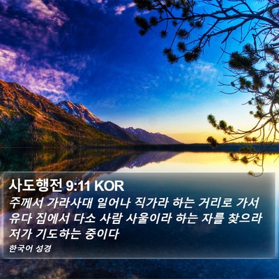 사도행전 9:11 KOR Bible Verse Image