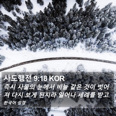 사도행전 9:18 KOR Bible Verse Image
