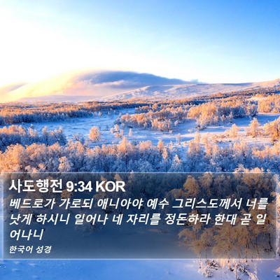 사도행전 9:34 KOR Bible Verse Image