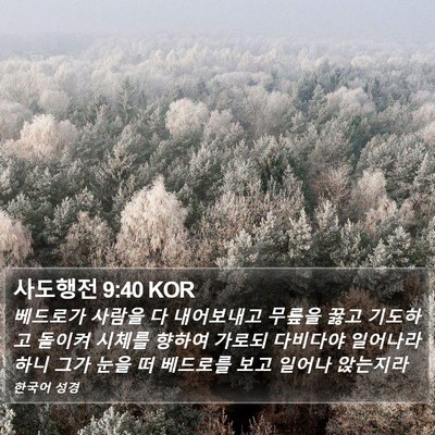 사도행전 9:40 KOR Bible Verse Image