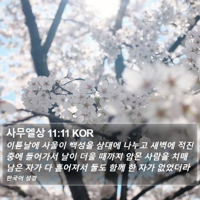 사무엘상 11:11 KOR Bible Verse Image