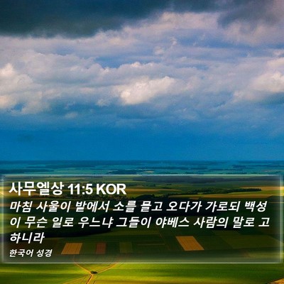 사무엘상 11:5 KOR Bible Verse Image