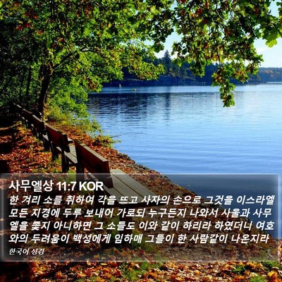 사무엘상 11:7 KOR Bible Verse Image