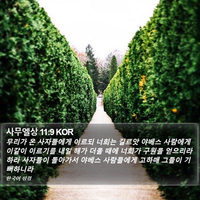 사무엘상 11:9 KOR Bible Verse Image