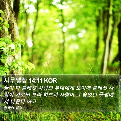 사무엘상 14:11 KOR Bible Verse Image