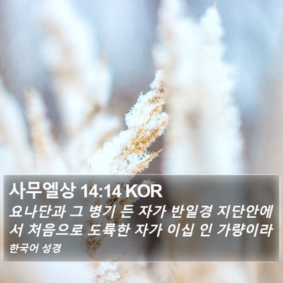 사무엘상 14:14 KOR Bible Verse Image