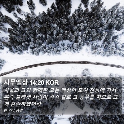 사무엘상 14:20 KOR Bible Verse Image