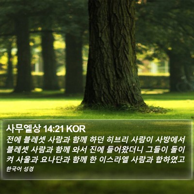 사무엘상 14:21 KOR Bible Verse Image