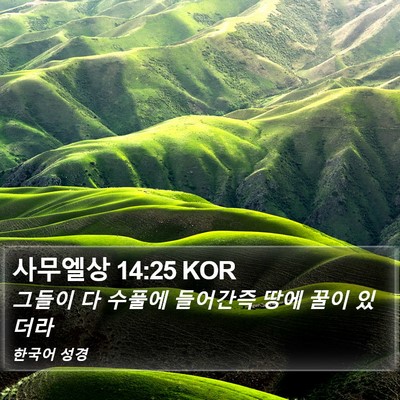 사무엘상 14:25 KOR Bible Verse Image