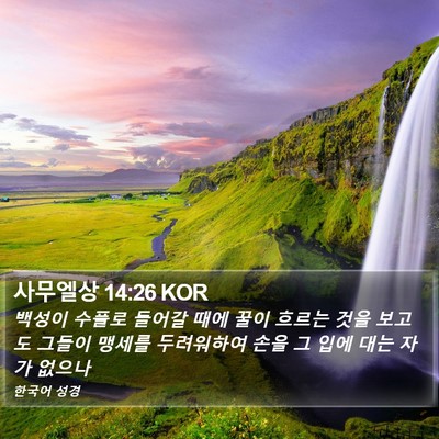 사무엘상 14:26 KOR Bible Verse Image