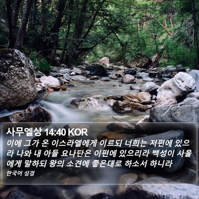 사무엘상 14:40 KOR Bible Verse Image