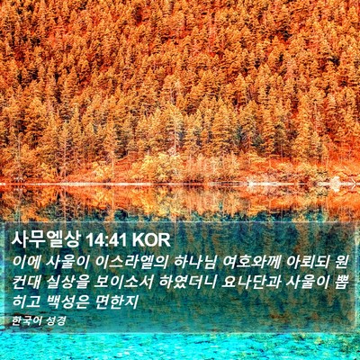사무엘상 14:41 KOR Bible Verse Image