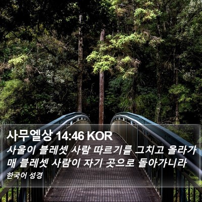 사무엘상 14:46 KOR Bible Verse Image