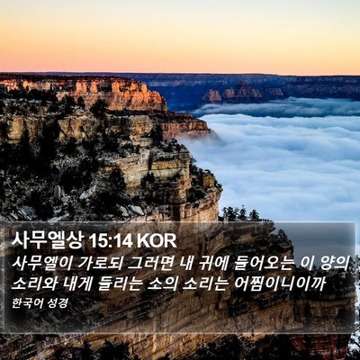 사무엘상 15:14 KOR Bible Verse Image