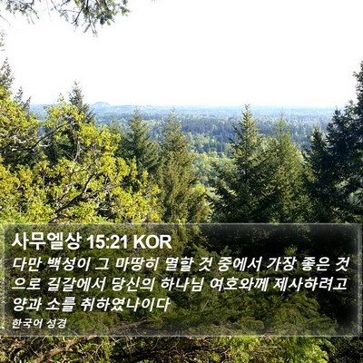 사무엘상 15:21 KOR Bible Verse Image