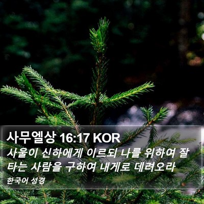 사무엘상 16:17 KOR Bible Verse Image