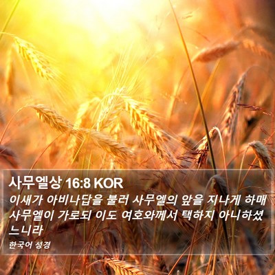 사무엘상 16:8 KOR Bible Verse Image