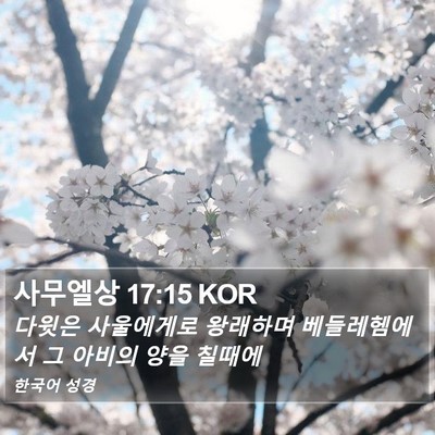 사무엘상 17:15 KOR Bible Verse Image