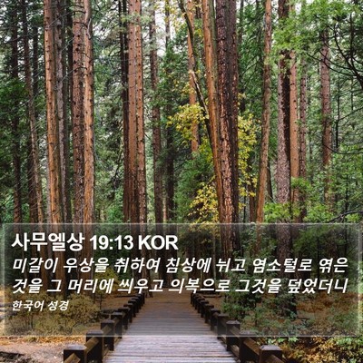 사무엘상 19:13 KOR Bible Verse Image
