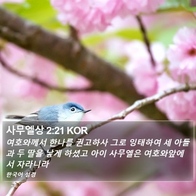 사무엘상 2:21 KOR Bible Verse Image