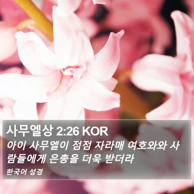 사무엘상 2:26 KOR Bible Verse Image