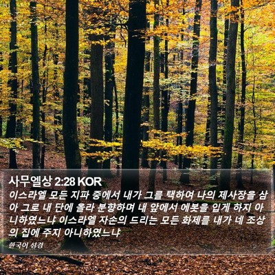사무엘상 2:28 KOR Bible Verse Image
