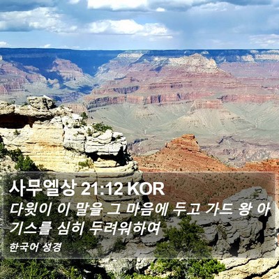 사무엘상 21:12 KOR Bible Verse Image