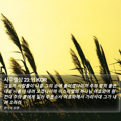 사무엘상 23:11 KOR Bible Verse Image
