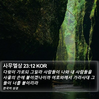사무엘상 23:12 KOR Bible Verse Image