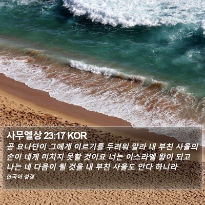 사무엘상 23:17 KOR Bible Verse Image
