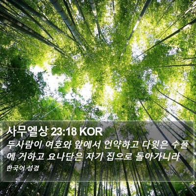 사무엘상 23:18 KOR Bible Verse Image
