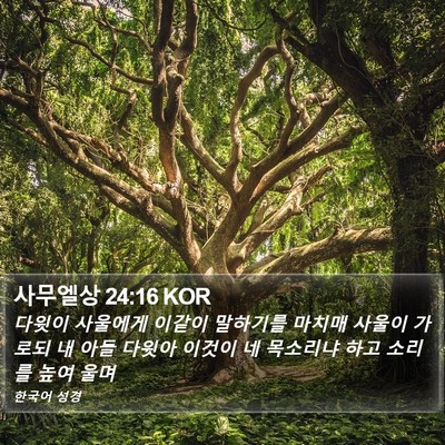 사무엘상 24:16 KOR Bible Verse Image