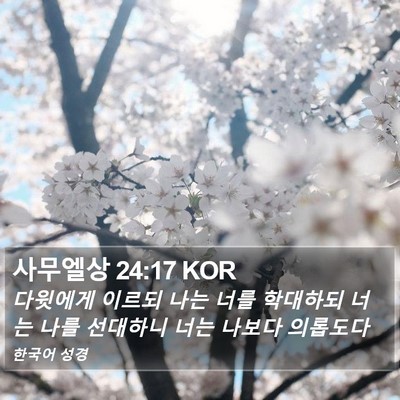 사무엘상 24:17 KOR Bible Verse Image