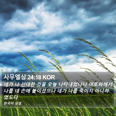 사무엘상 24:18 KOR Bible Verse Image